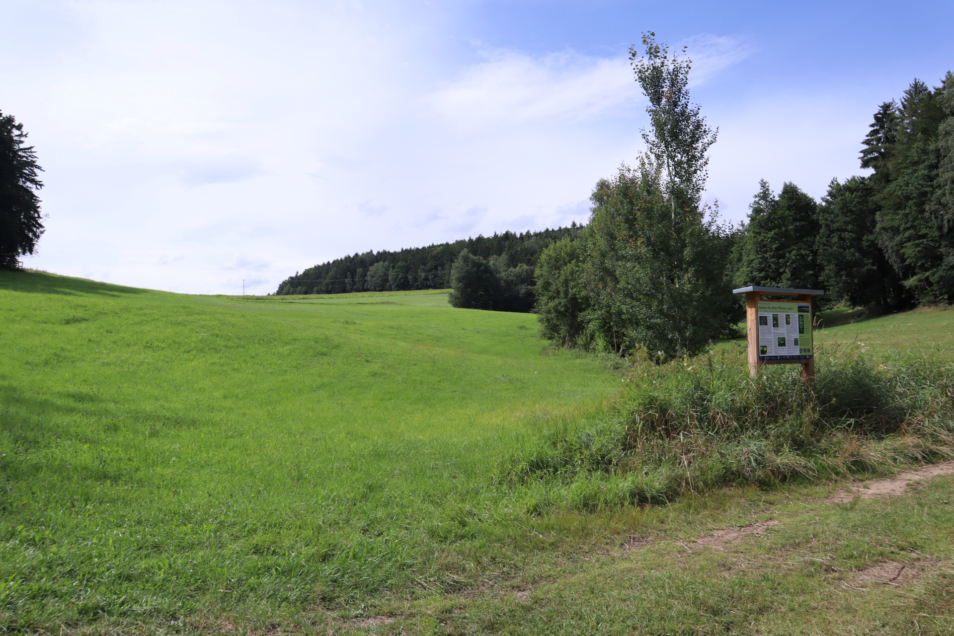Vorlage