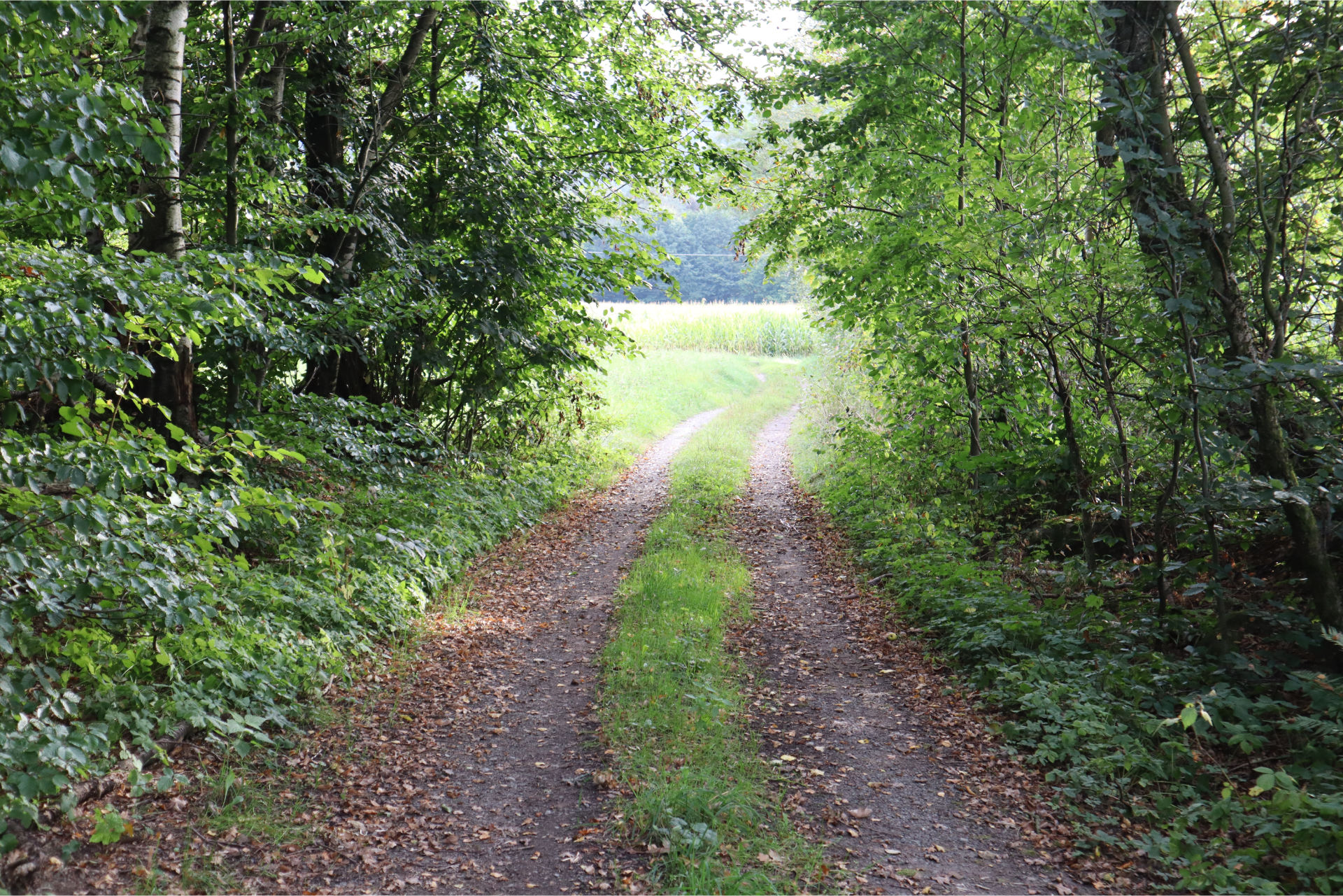 Wanderweg