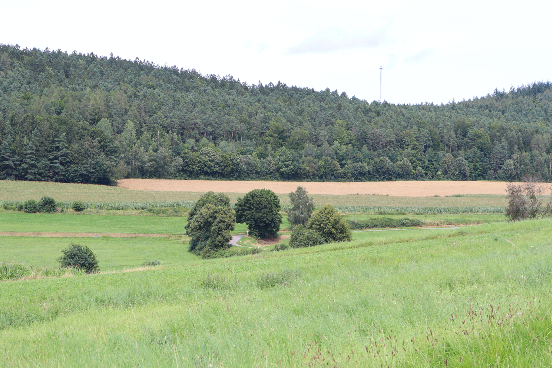 Vorlage