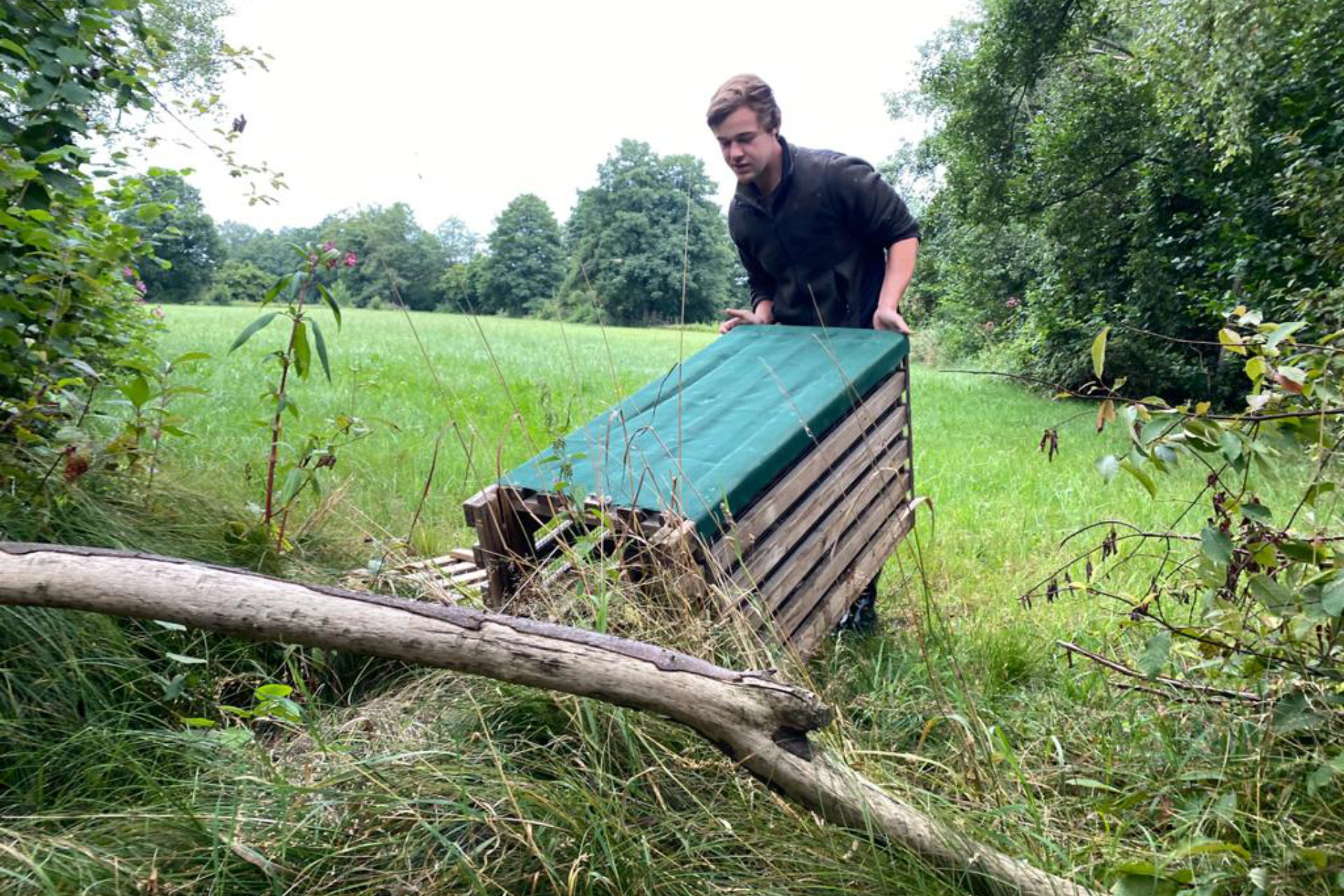 Wildenten Aussetzung